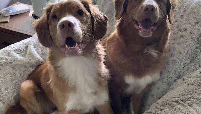 7f37a928-6cac-4e5e-a719-4ecf7580463d